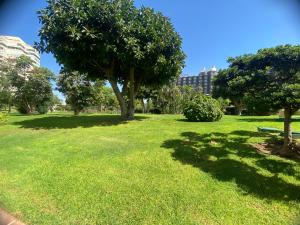 A garden outside Playamar Primera linea front beach