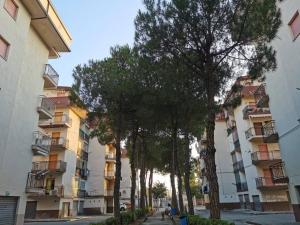 a row of trees in front of a building at Paradiso Marino in Scalea