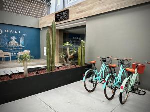 Fotografie z fotogalerie ubytování KALI Centro Mexico City v destinaci Mexico City