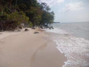 a beach with rocks and the water and trees at recanto rios Belém in Mosqueiro