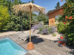 an umbrella and chairs next to a swimming pool at Le gîte du petit branché in Mazan