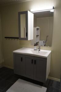 La salle de bains est pourvue d'un lavabo blanc et d'un miroir. dans l'établissement Koselig leilighet i Langevåg, à Holen