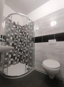 La salle de bains est pourvue d'une douche, de toilettes et d'un lavabo. dans l'établissement Penzion Na Protivínské, à Strakonice
