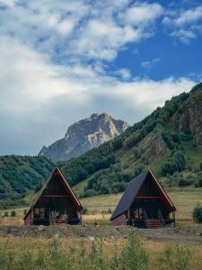 two barns in a field with mountains in the background at Gagma chalets in Kazbegi