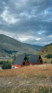 two barns in the middle of a grassy field at Gagma chalets in Kazbegi