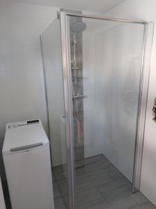 a shower with a glass door next to a refrigerator at Agroturystyka ,Jarzębina' in Harkabuz
