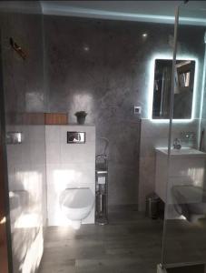 La salle de bains est pourvue de toilettes et d'un lavabo. dans l'établissement Rajskie wzgórze w Karkonoszach, à Łomnica