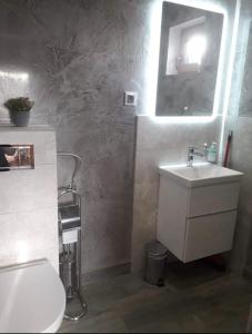 La salle de bains est pourvue de toilettes blanches et d'un lavabo. dans l'établissement Rajskie wzgórze w Karkonoszach, à Łomnica