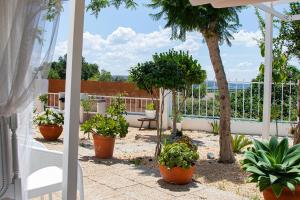 a patio with potted plants and a white fence at 4Ever Palace - Design & Nature in Alcácer do Sal