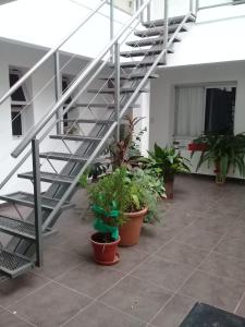 マルコス・ファレスにあるDepartamento centrico monoambiente 1er piso nuevo sencillo Av Belgrano D5の鉢植えの植物とらせん階段のあるパティオ