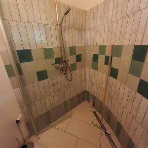 y baño con ducha de azulejos verdes y blancos. en Rapunzel trifft Dornröschen, en Schweizermühle