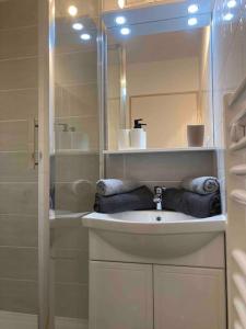 ein Badezimmer mit Waschbecken und Dusche in der Unterkunft Studio au cœur de chatelguyon in Châtel-Guyon