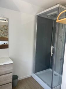 ein Bad mit einer Dusche und einer Glastür in der Unterkunft La maison de Solange in Esquelbecq