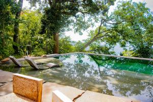 una piscina di acqua con alberi sullo sfondo di Tres Piedras 