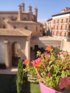 a potted plant with red flowers in front of a building at Mirador de los Amantes - VUTE-23-019 in Teruel