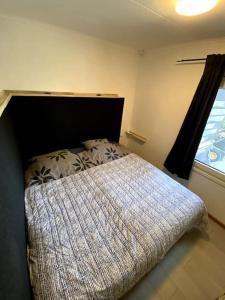 Schlafzimmer mit einem Bett und einem Fenster in der Unterkunft La Luna - Danny in Heerhugowaard