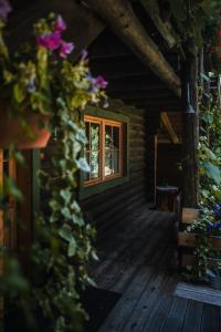 Zahrada ubytování Cabana Bendis