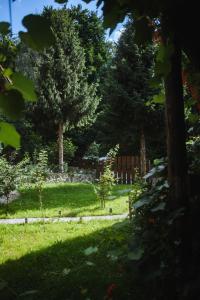 Zahrada ubytování Cabana Bendis