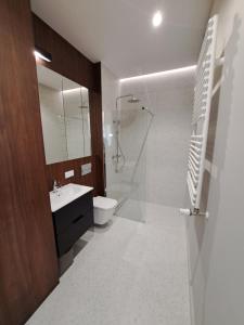 a bathroom with a toilet and a sink and a shower at Tuwima 48 Apartment in Łódź
