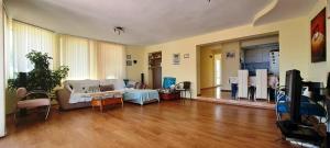 a living room with a couch and a tv at Villa Byala Grape House in Byala