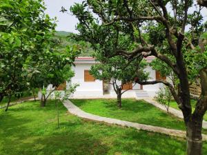 a garden with a house in the background at Lemongarden by the sea in Zagora