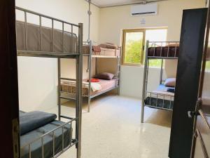 Zimmer mit 3 Etagenbetten und einem Fenster in der Unterkunft Ommi Hostel in St Julian's