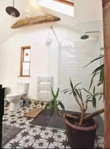 uma casa de banho com um WC e um vaso de plantas em The Carton Store Loft Apt em Cork