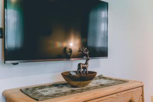 TV a/nebo společenská místnost v ubytování Garni Hotel Belalp