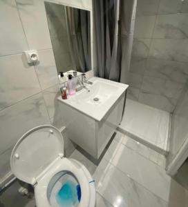 La salle de bains blanche est pourvue de toilettes et d'un lavabo. dans l'établissement Appartement jolie Clichy, à Clichy-sous-Bois