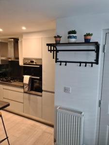uma cozinha com frigorífico e um balcão com plantas em 2 bed Home From Home Apartments em Londres