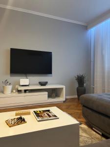 TV a/nebo společenská místnost v ubytování Apartman Loft 72