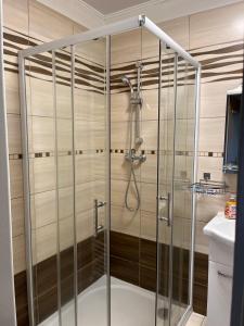 a shower with a glass enclosure in a bathroom at Apartmán Pod Jánským Vrchem in Javorník +14 photos