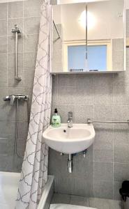 een badkamer met een wastafel en een douche bij Apartment Platana in Rijeka