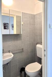 een badkamer met een toilet en een wastafel bij Apartment Platana in Rijeka