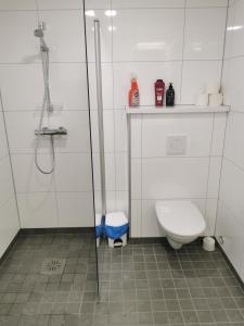 ein Bad mit einer Dusche und einem WC in der Unterkunft Lofoten Studio Apartment, Vestermyrveien 11 Svolvær in Svolvær