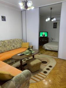 比耶利納的住宿－Privatna kuća，带沙发、桌子和电视的客厅