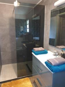 a bathroom with a sink and a shower with a mirror at La Campierelle in Salazie