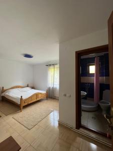 a bedroom with a bed and a bathroom with a toilet at Cabana Mario in Albac