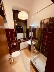 a bathroom with a toilet and a sink and a shower at Retro Appartement im Herzen von Köln Deutz in Cologne