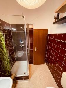 a bathroom with a shower and a toilet and a sink at Retro Appartement im Herzen von Köln Deutz in Cologne