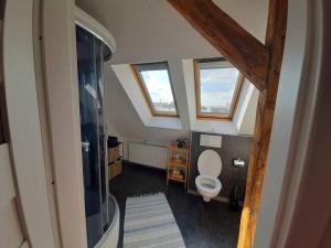 an attic bathroom with a toilet and windows at Gemütliche Wohnung in Burg in Burg bei Magdeburg