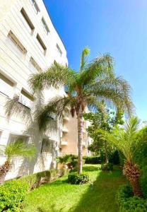 a palm tree in front of a building at Hayriad : Charmant 3 Chambres . Wifi, Smart TV in Rabat
