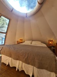 1 dormitorio con 1 cama grande y ventana grande en Magma Lodge, Pucon, en Pucón