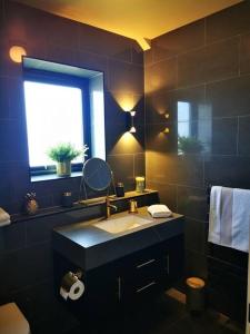 een badkamer met een wastafel en een raam bij Luxury Apartment Brighton and South Downs National Park, Free Parking in Falmer