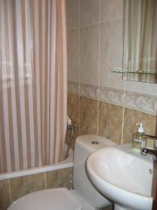 een badkamer met een toilet, een wastafel en een douche bij Hostal Tudescos in Madrid