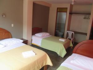 Habitación de hotel con 2 camas y baño en Hotel Villa Santa Ana en Quillabamba