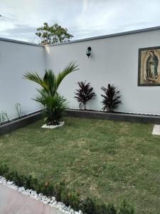 a courtyard of a white building with plants at Hotel Guadalupe Acacías in Acacías