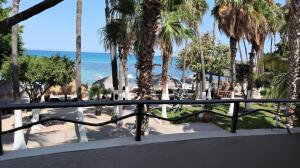 a view of a beach with palm trees and the ocean at La Concha Beach Hotel & Club in La Paz
