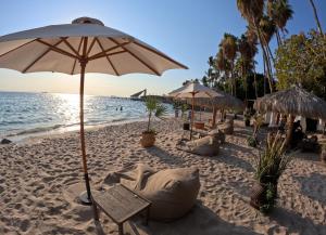 a beach with chairs and an umbrella and the ocean at La Concha Beach Hotel & Club in La Paz