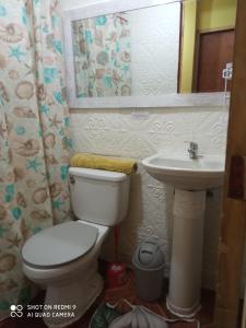 a bathroom with a toilet and a sink at HOSTAL FAMILIAR in Chillán